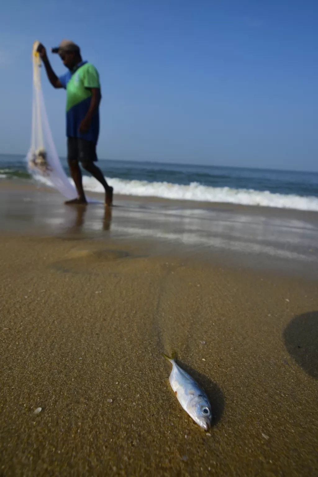 Photo of Marari Beach By Aari