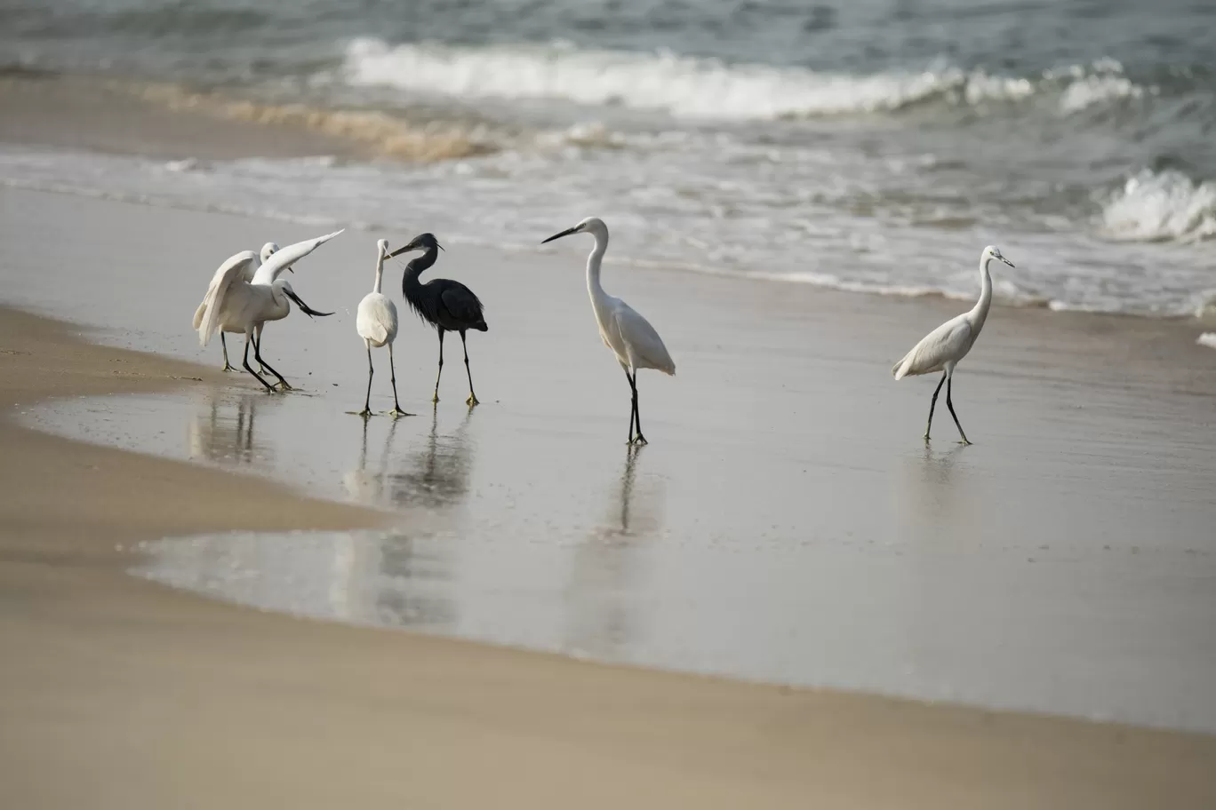 Photo of Marari Beach By Aari