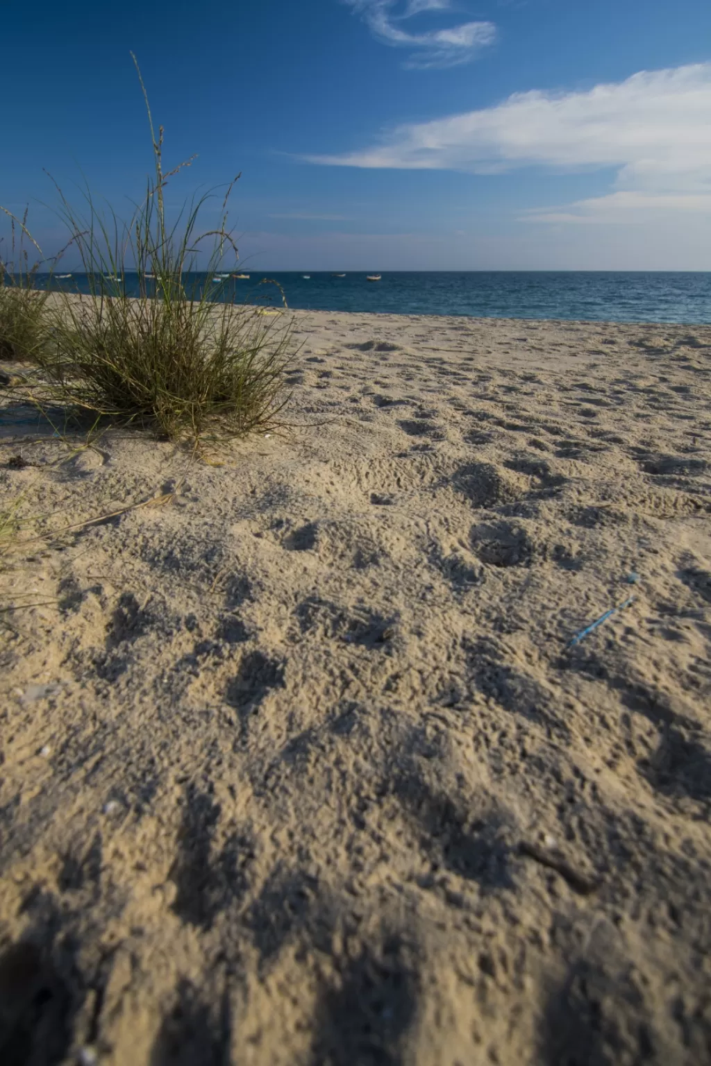 Photo of Dhanushkodi By Aari