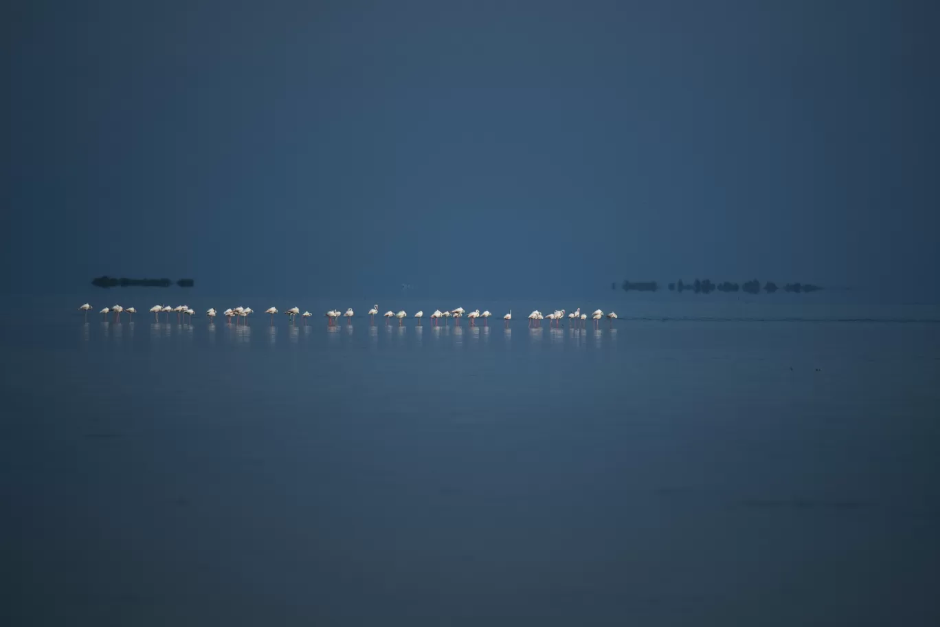 Photo of Dhanushkodi By Aari