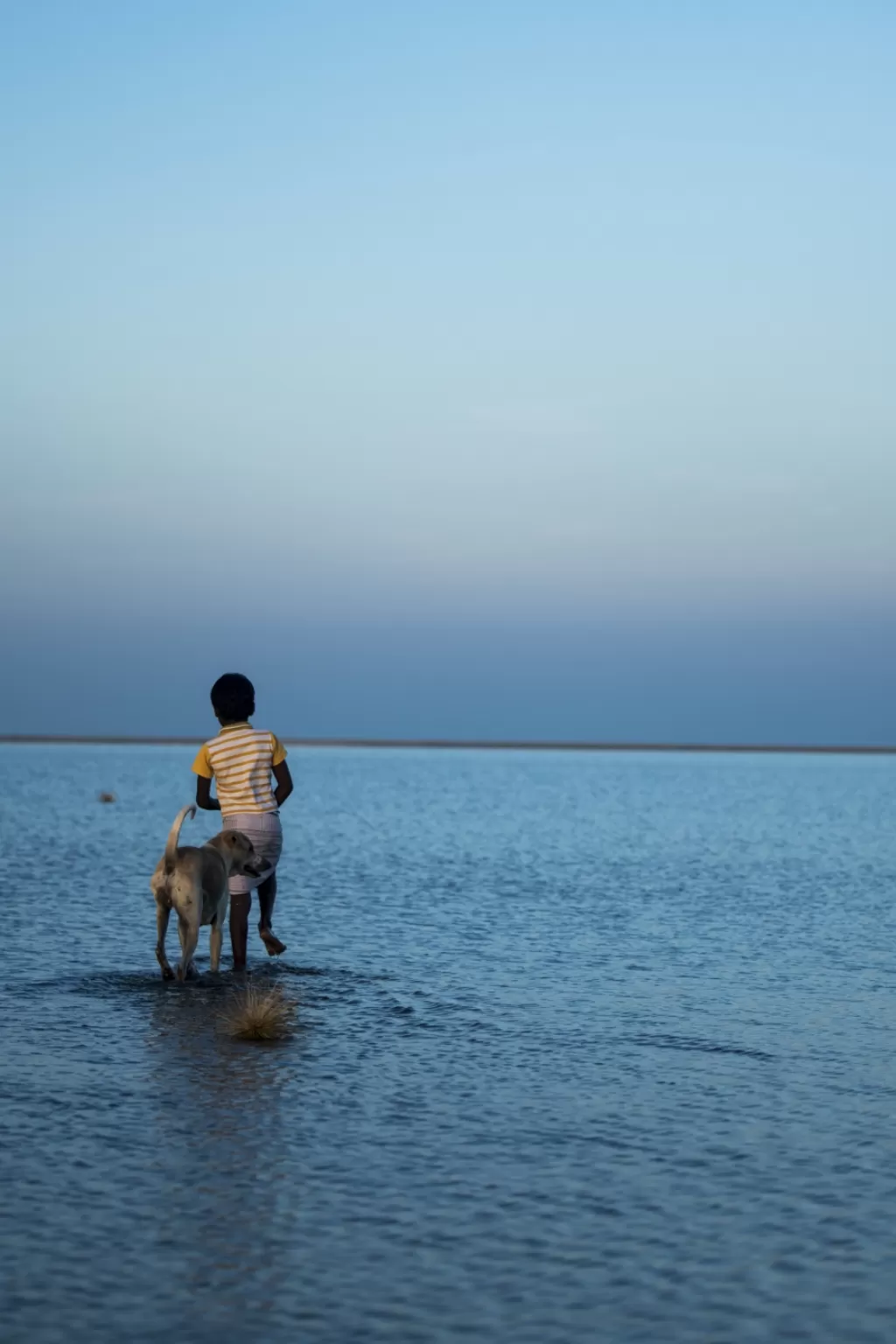 Photo of Dhanushkodi By Aari
