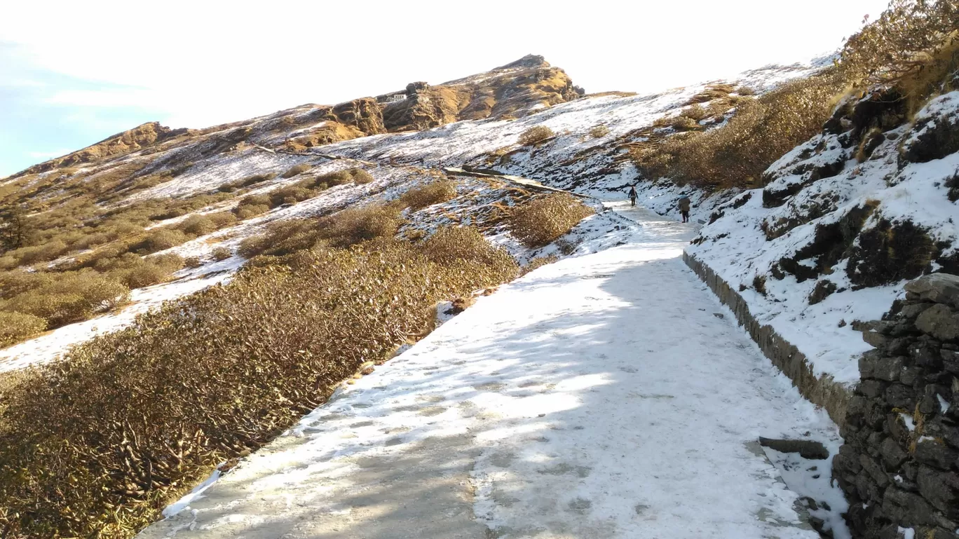 Photo of Chopta Tungnath Chandrashila Trekking By Sourav Poddar