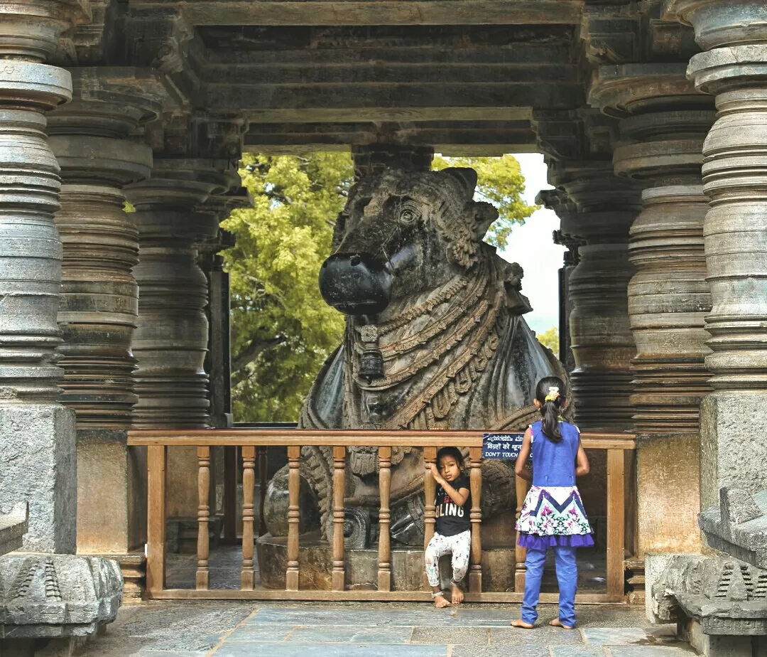 Photo of Hoysaleshwara Temple By iamasanchari (Natesh Achar)