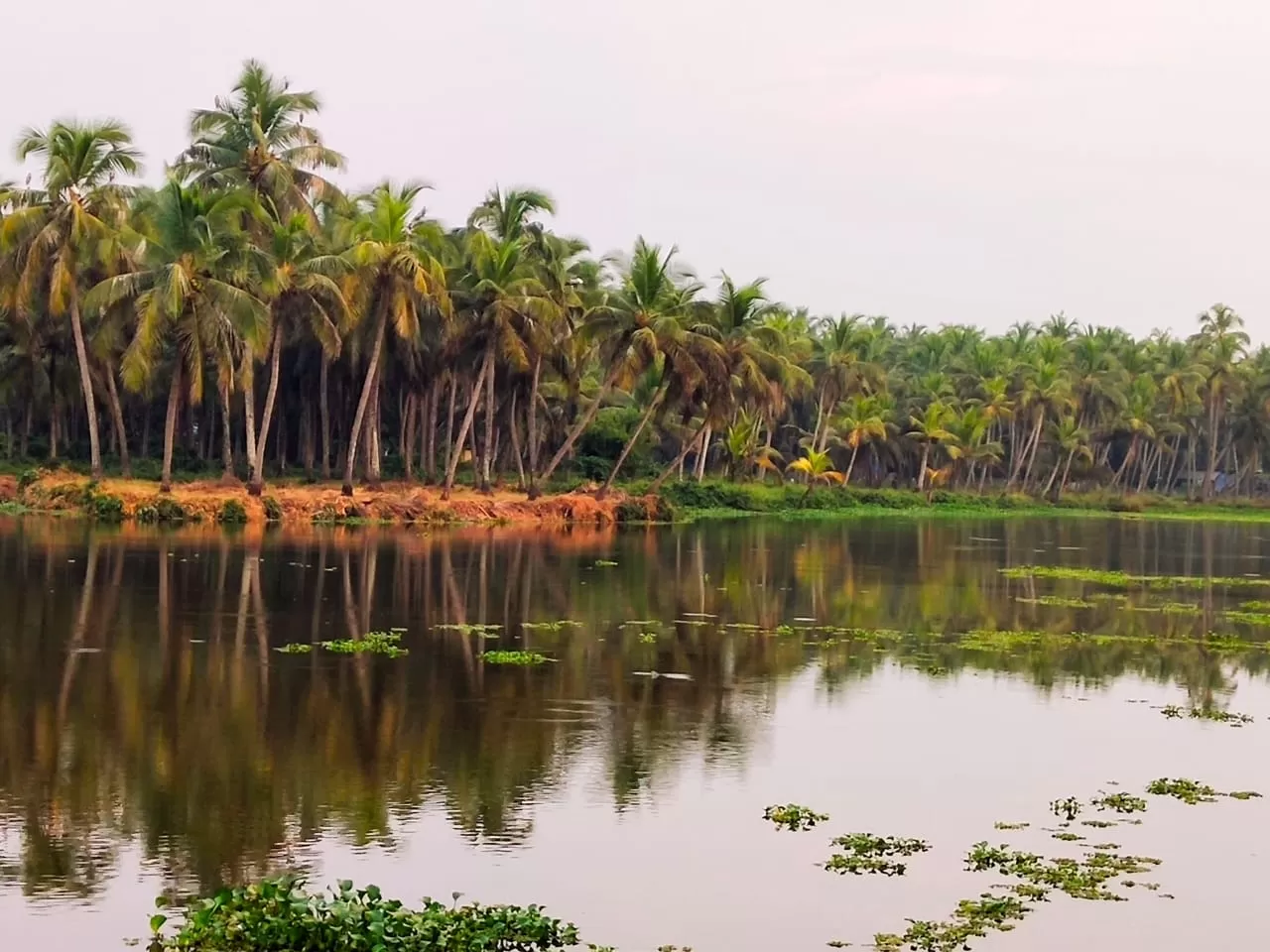 Photo of Chavakkad By Vimal Johnson Villadam