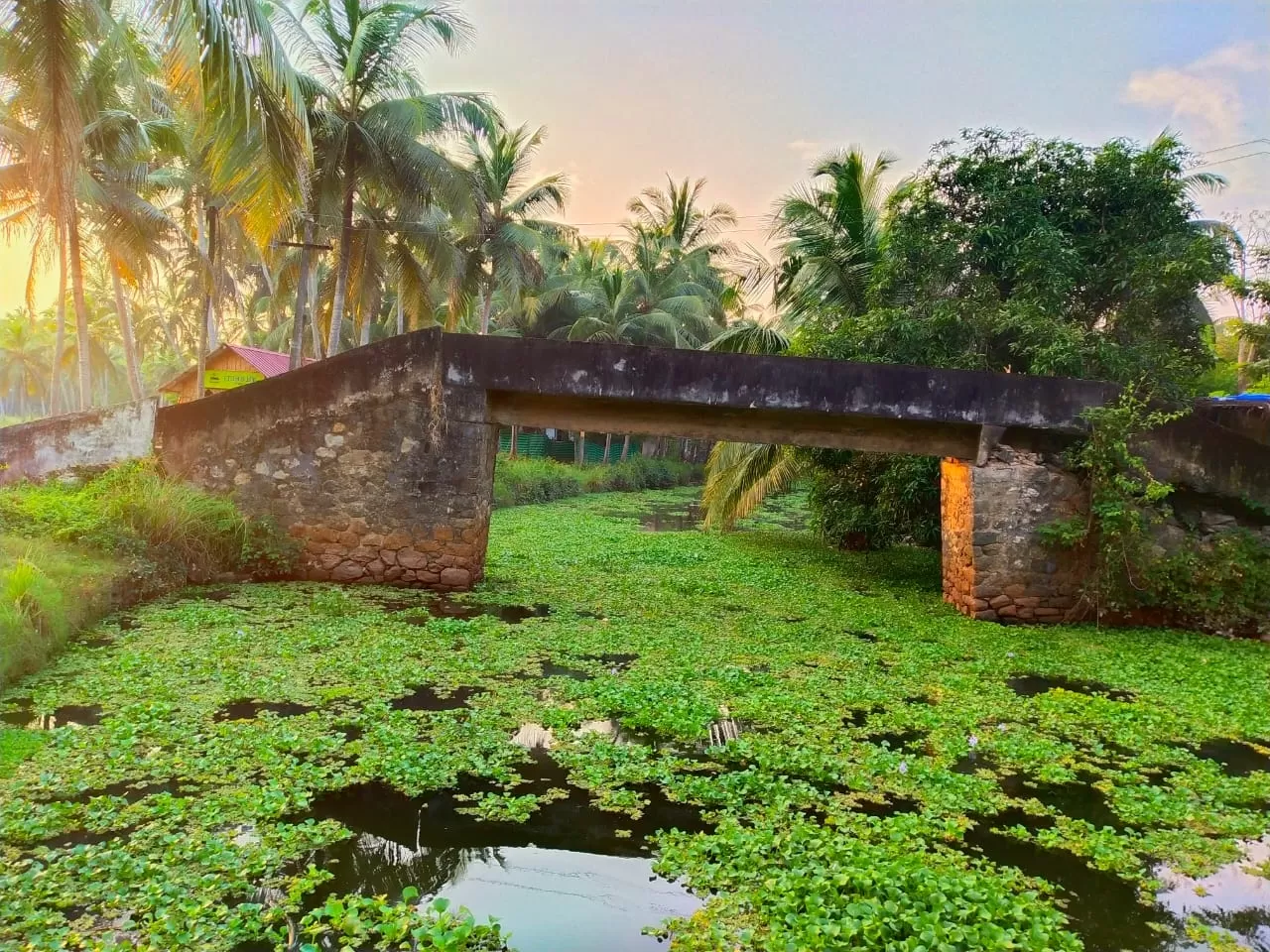 Photo of Chavakkad By Vimal Johnson Villadam
