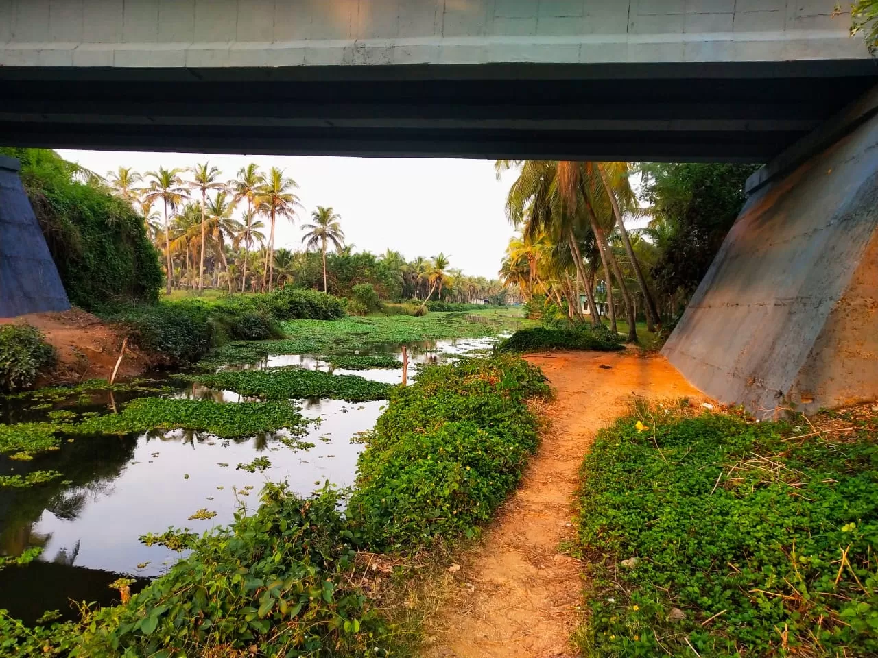 Photo of Chavakkad By Vimal Johnson Villadam