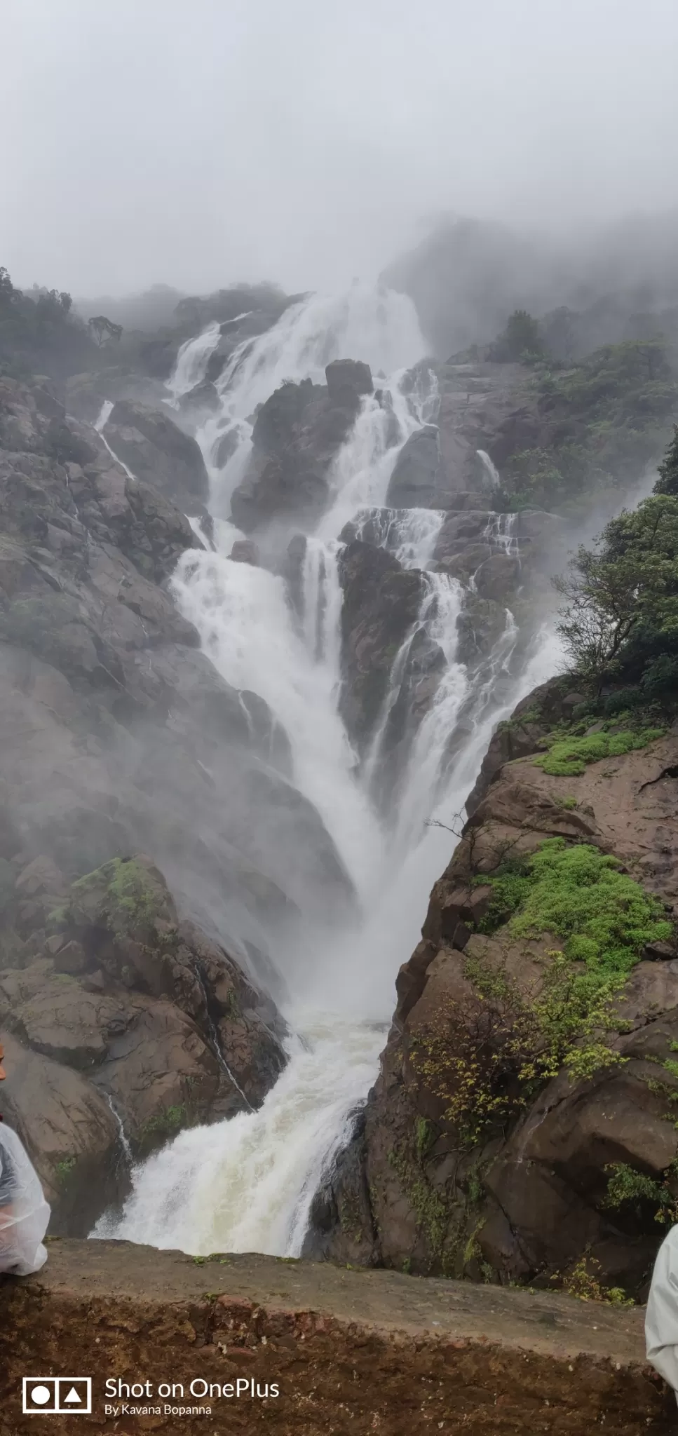 Photo of Dudhsagar Falls By Kavana Bopanna