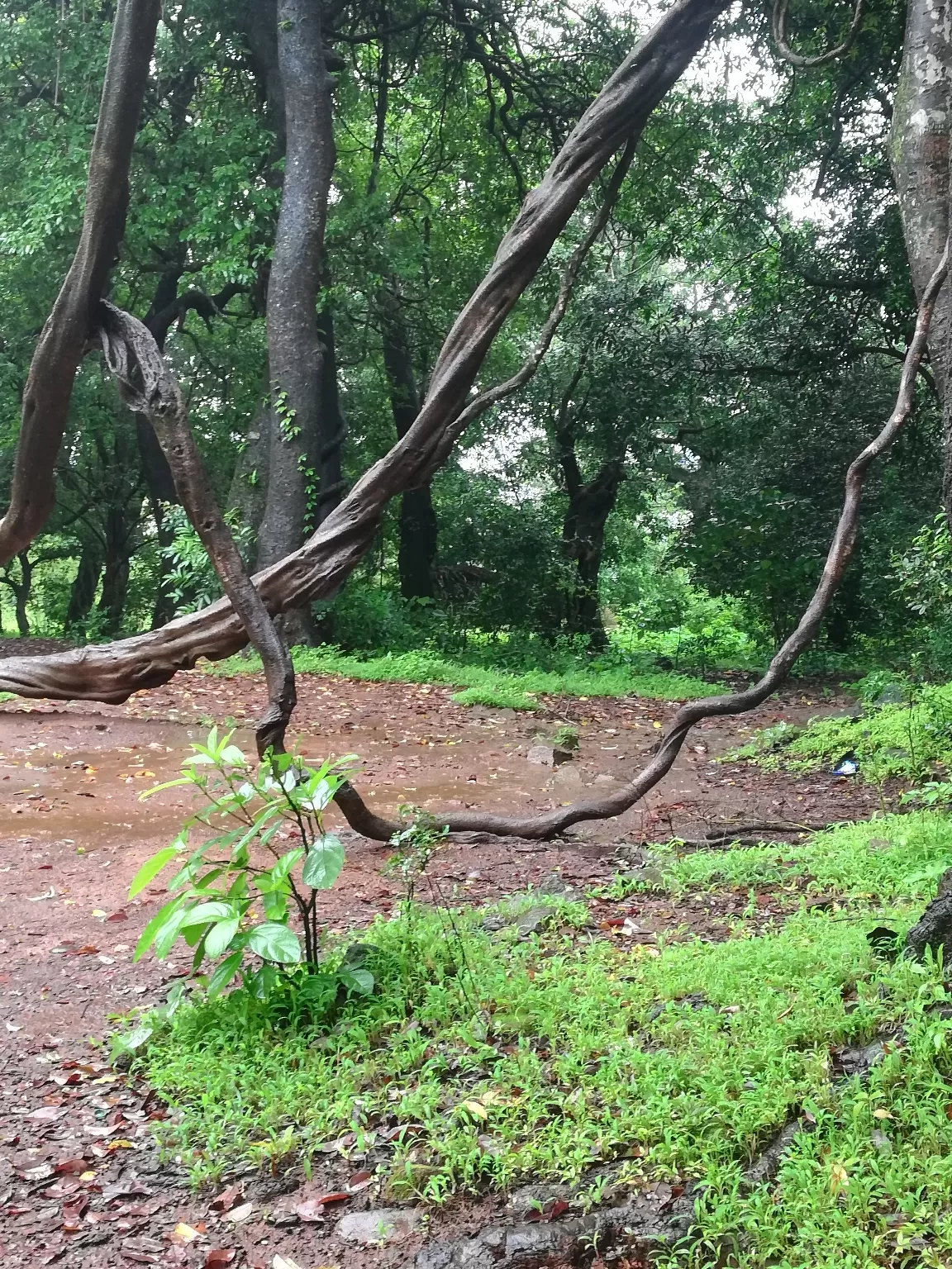 Photo of Lonavala By Yash Gandhi