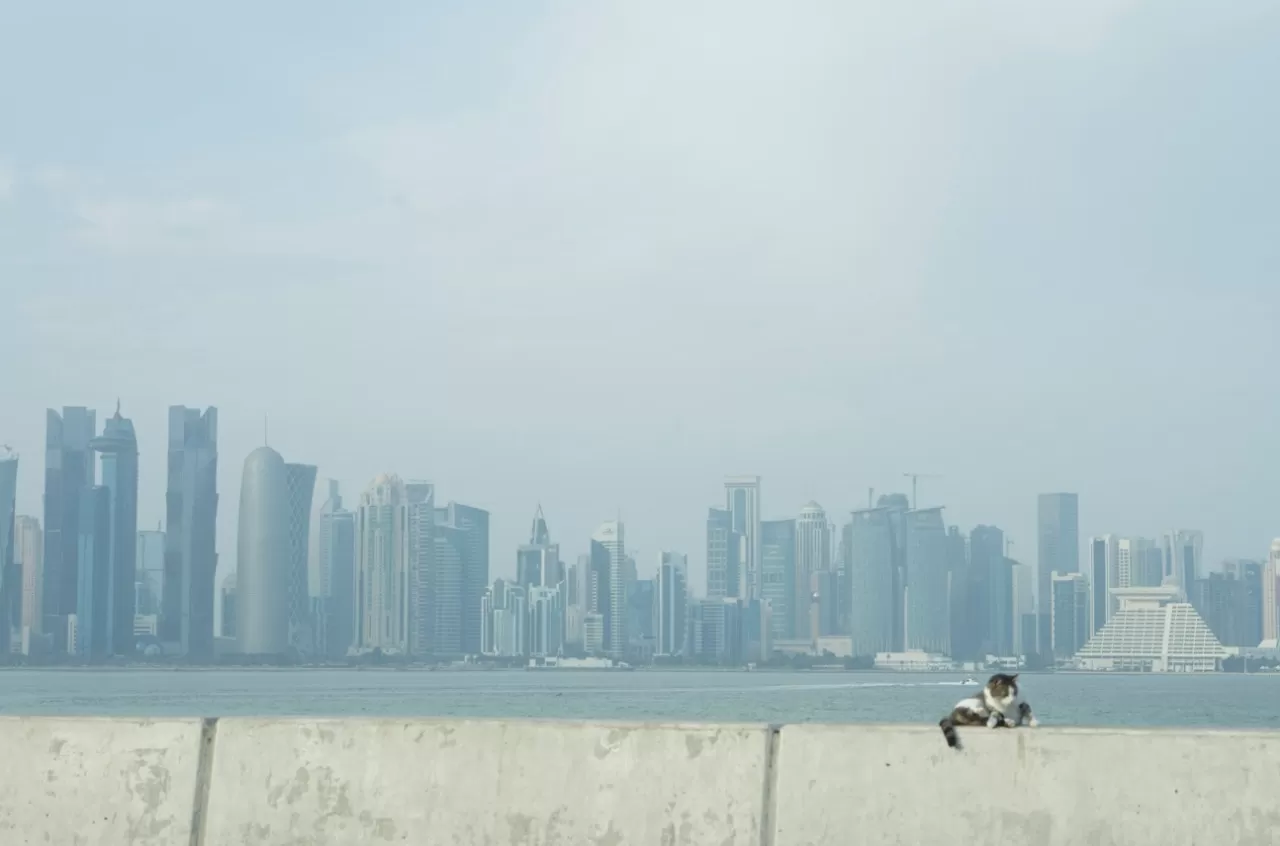 Photo of Doha By Madhuri Iyer