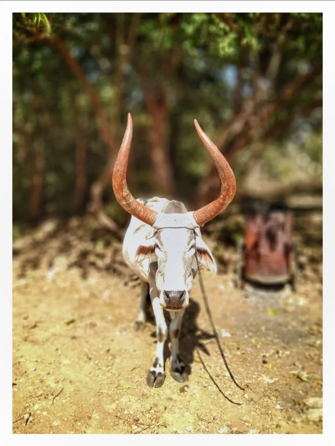 Photo of polo forest himmatnagar By Shivang Vaidya