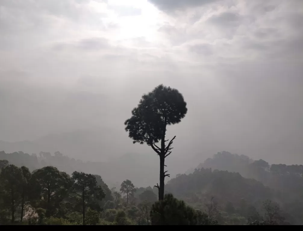 Photo of Himachal Pradesh By Prerna Umbarkar