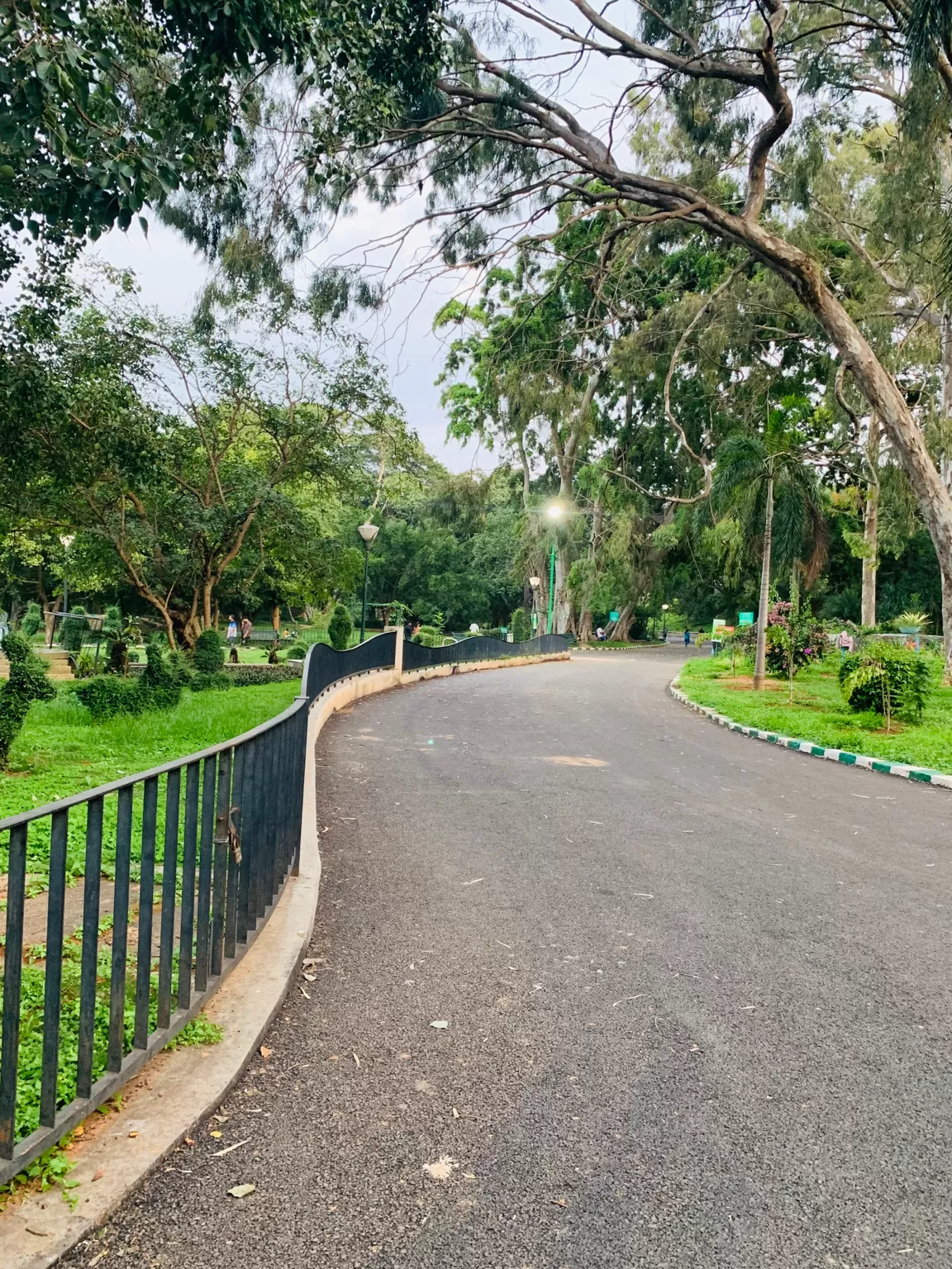 Photo of Mavalli By Shahna Manza