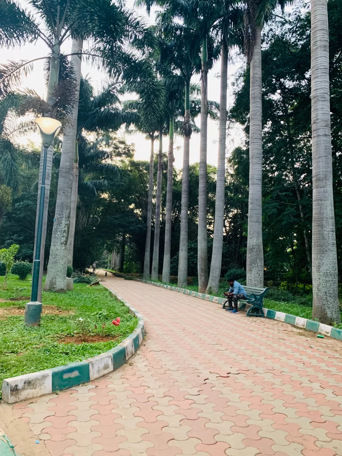 Photo of Mavalli By Shahna Manza