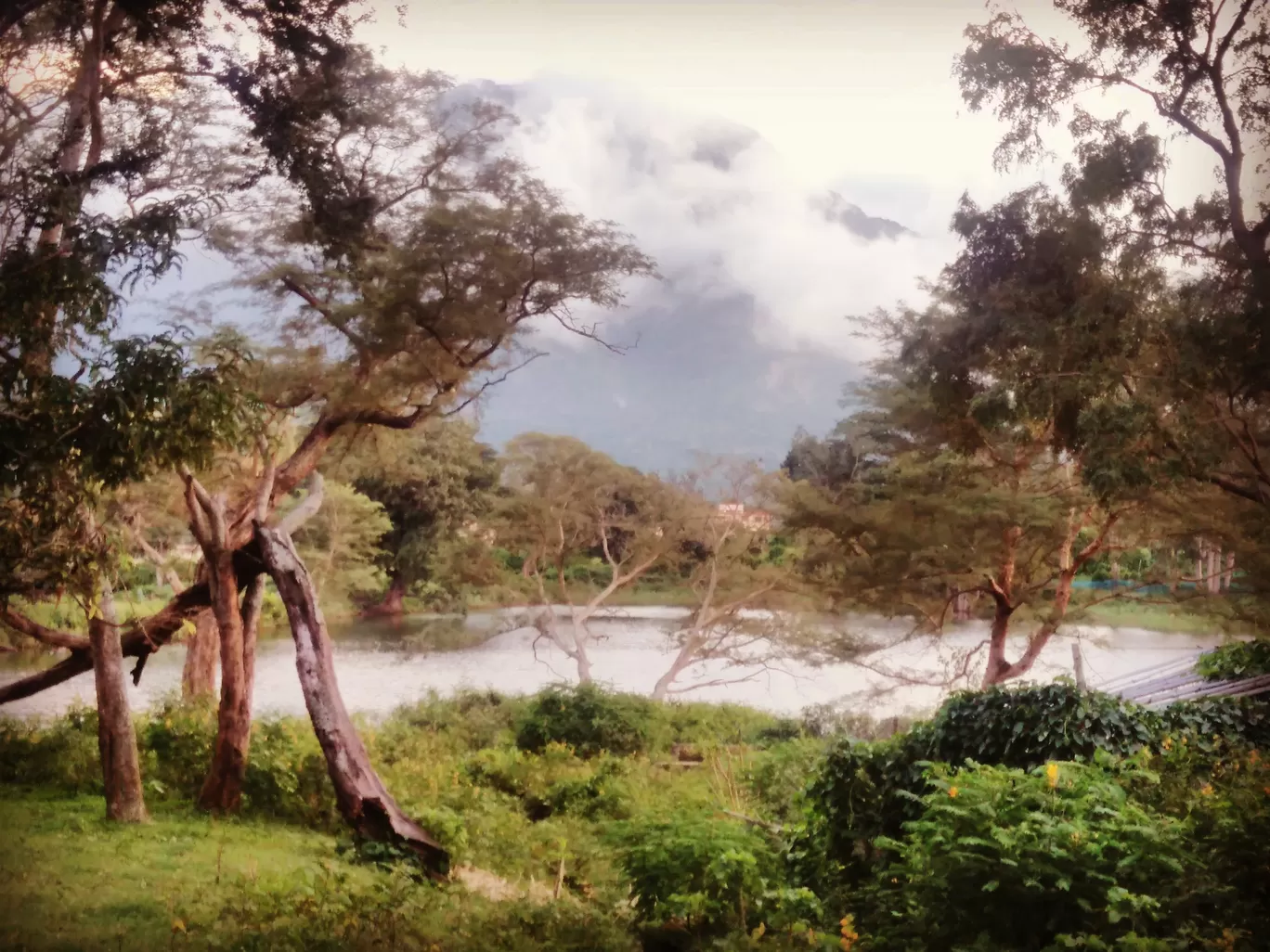 Photo of Masinagudi By Ashly Richard