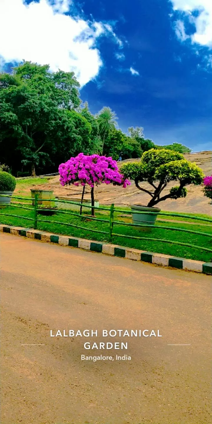 Photo of Lalbagh Botanical Garden By Shubham Garg