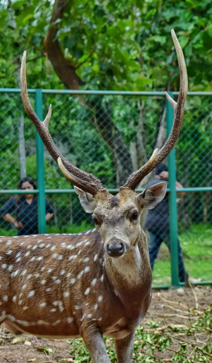Photo of Nisargadhama By Rohit Kumar Gupta