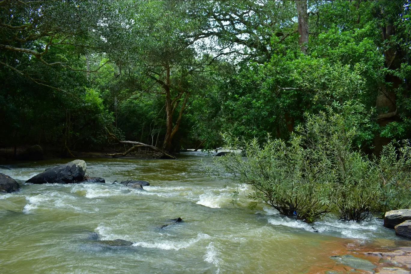 Photo of Nisargadhama By Rohit Kumar Gupta