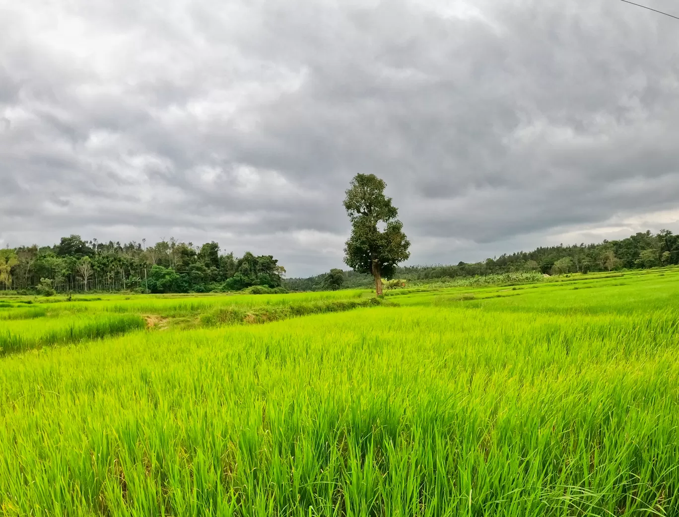 Photo of Chikmagalur By Rohit Kumar Gupta