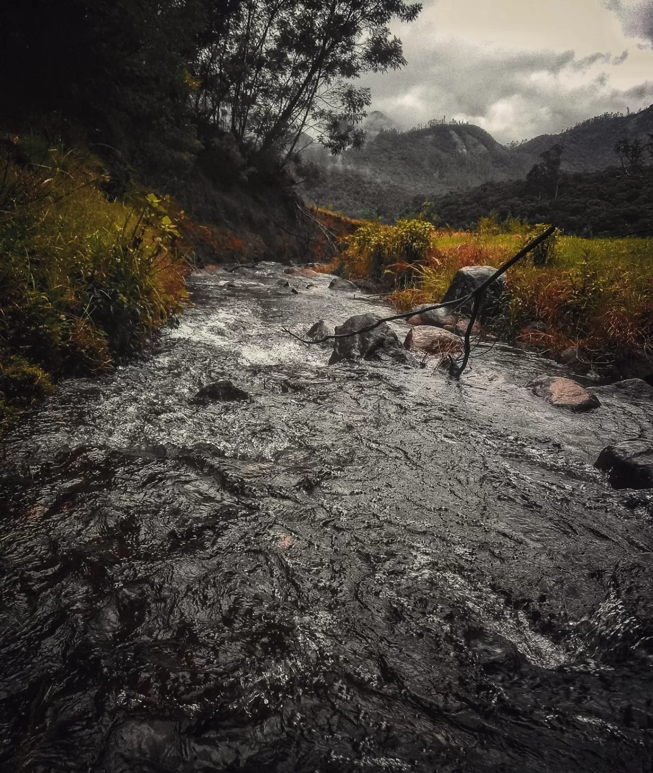 Photo of Ooty By Glen Joshua