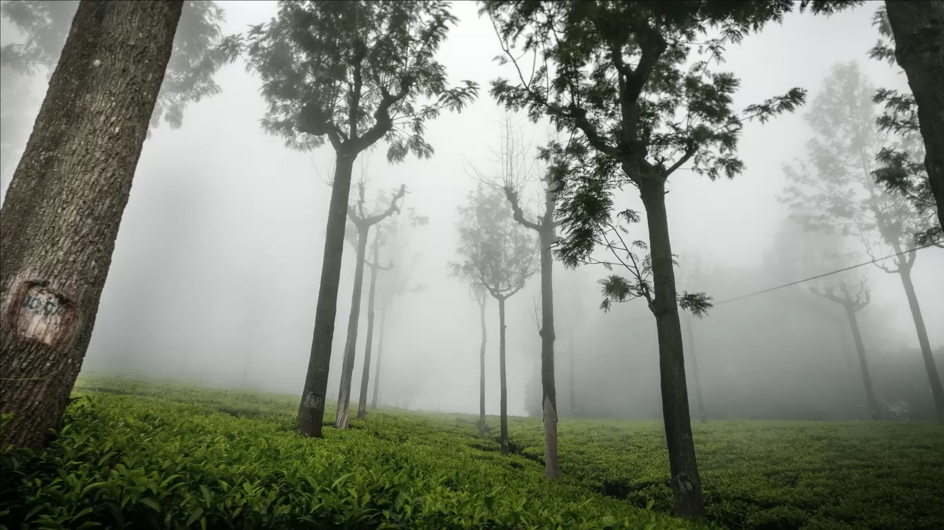 Photo of Ooty By Glen Joshua