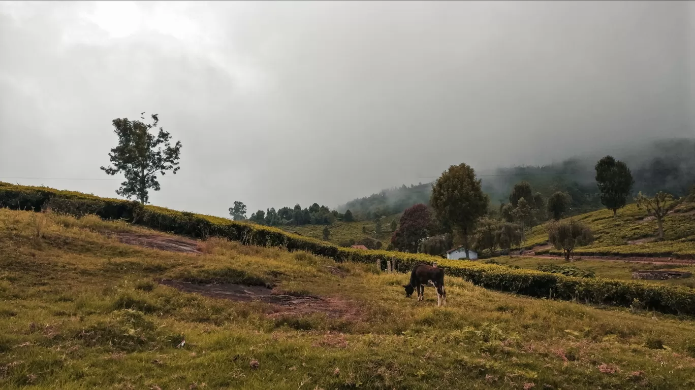 Photo of Ooty By Glen Joshua