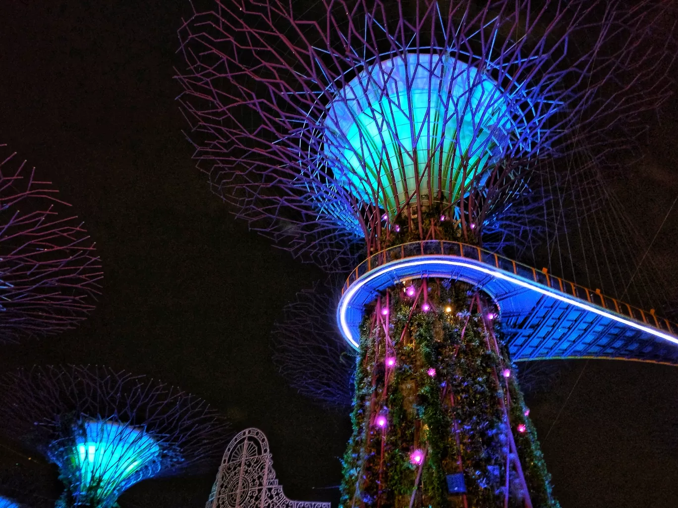 Photo of Garden by the Bay - Orchid Extravaganza By Anay Pathak