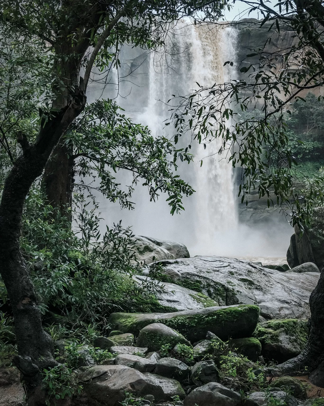 Photo of Karamghonga By Sri Nair