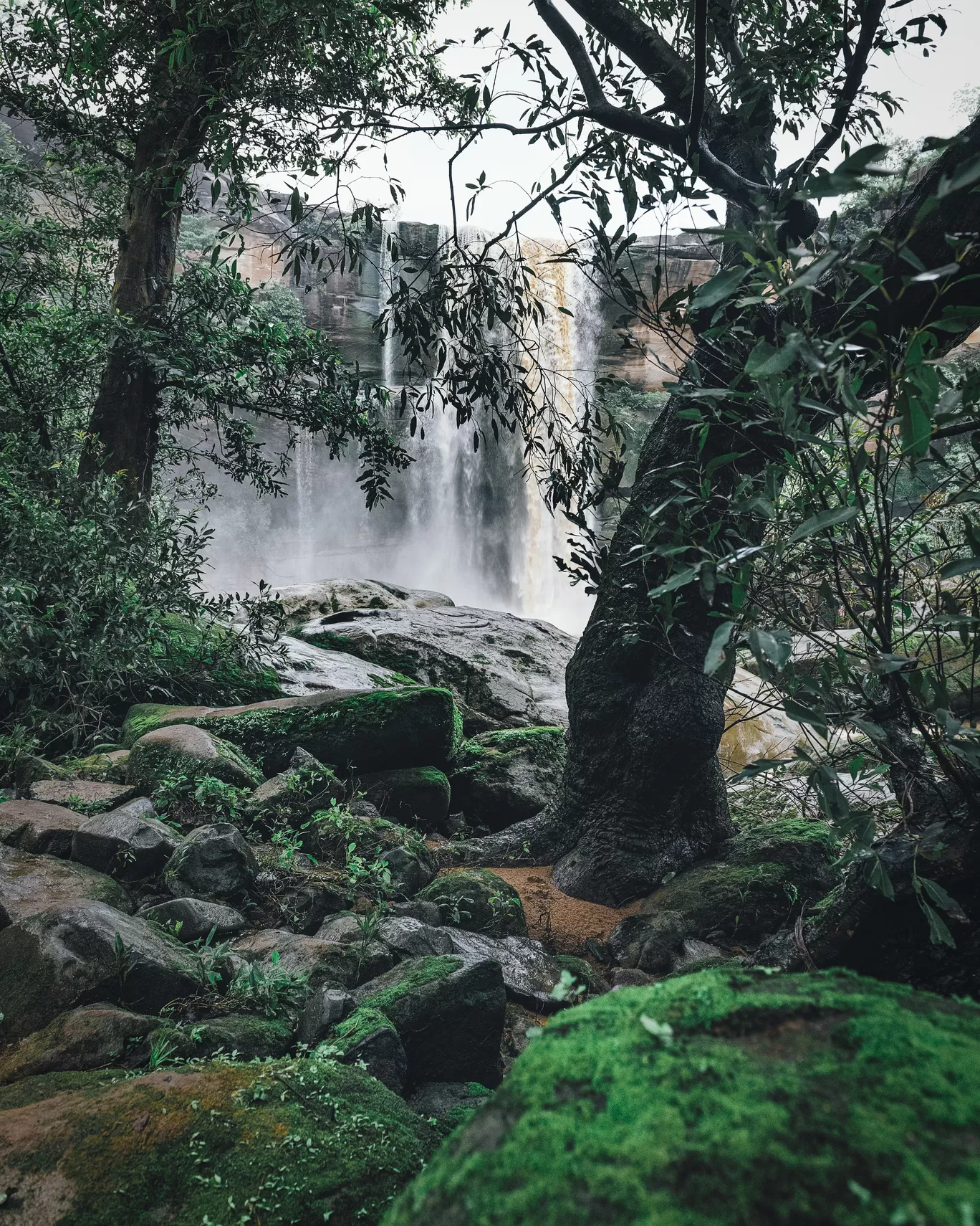 Photo of Karamghonga By Sri Nair