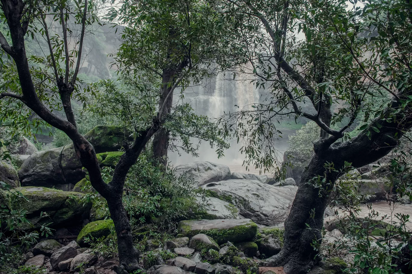 Photo of Karamghonga By Sri Nair