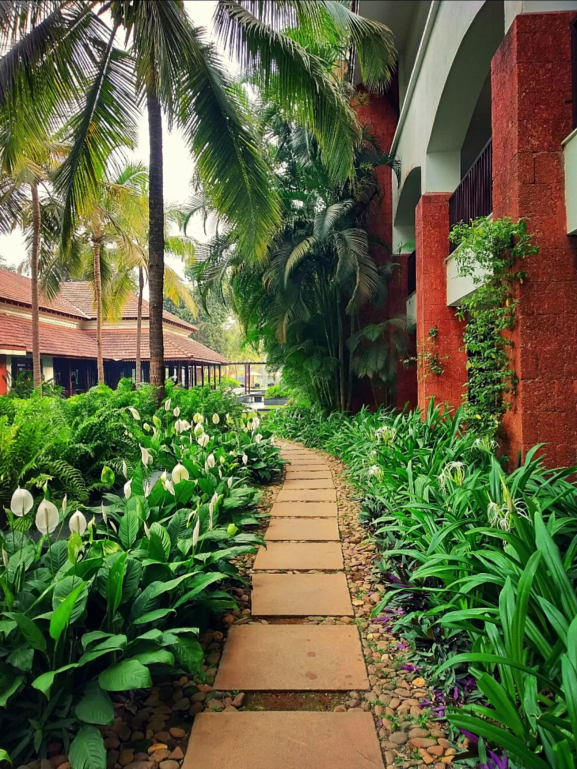 Photo of Alila Diwa Goa By Kunal Rawat