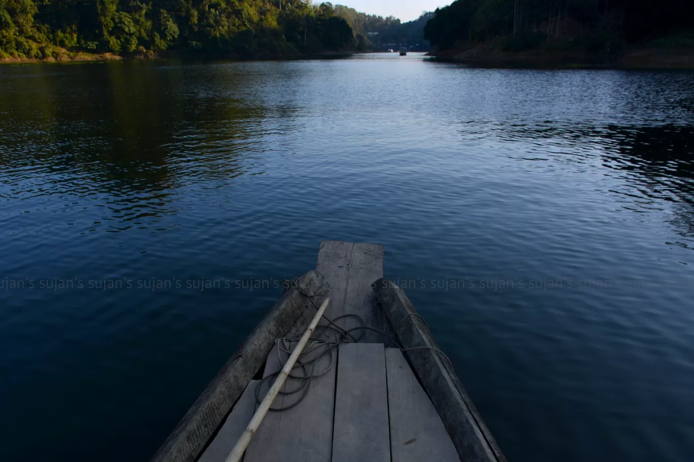 Photo of Dumboor By Sujan Dey