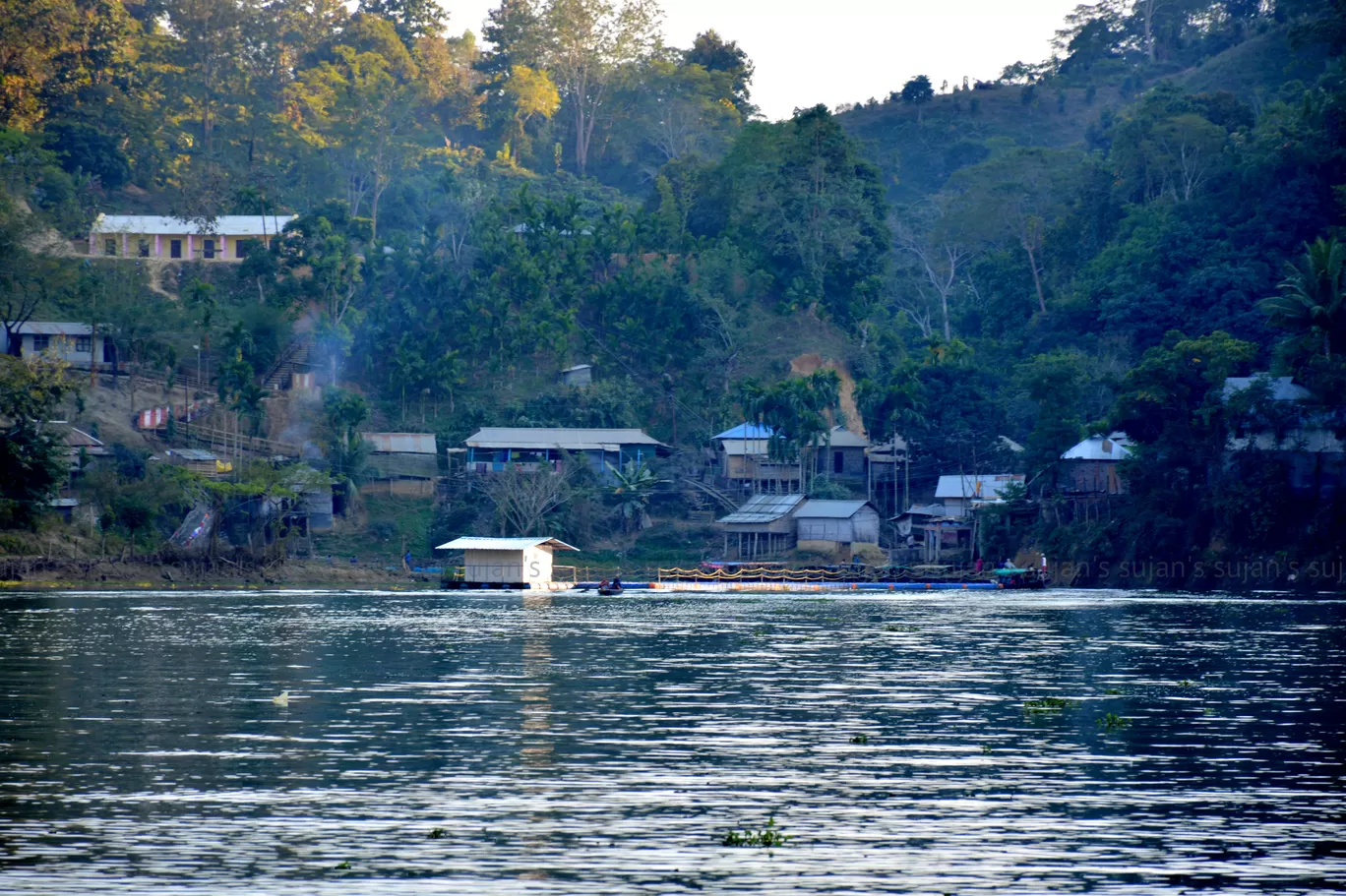 Photo of Dumboor By Sujan Dey