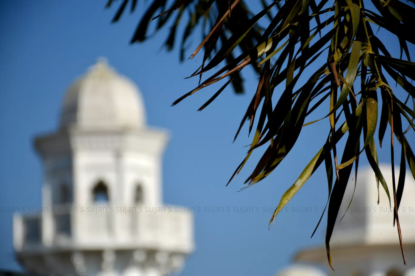 Photo of Neermahal By Sujan Dey