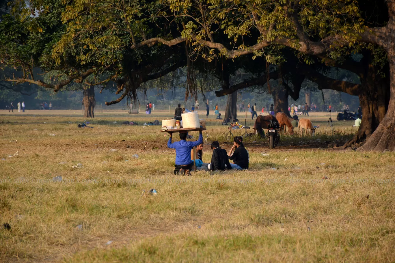 Photo of Maidan By Sujan Dey