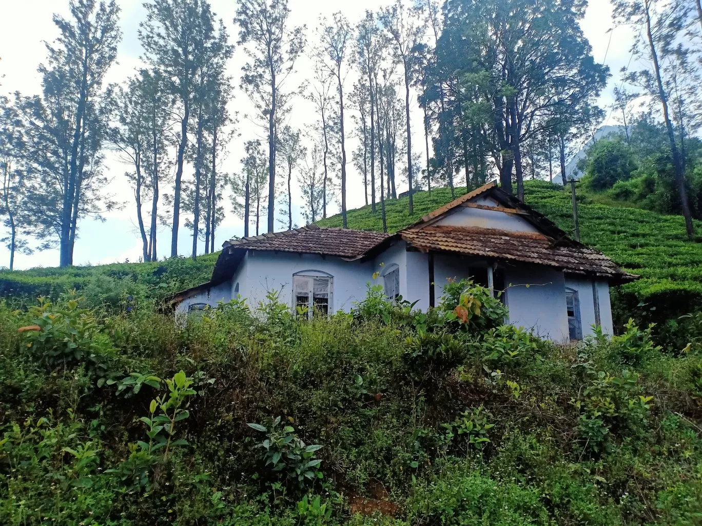 Photo of Wayanad By The Resfeber travellers