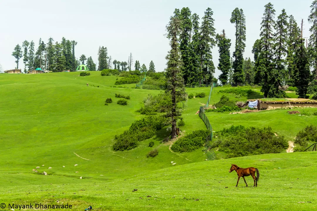 Photo of Doodhpathri By Mayank Dhanawade