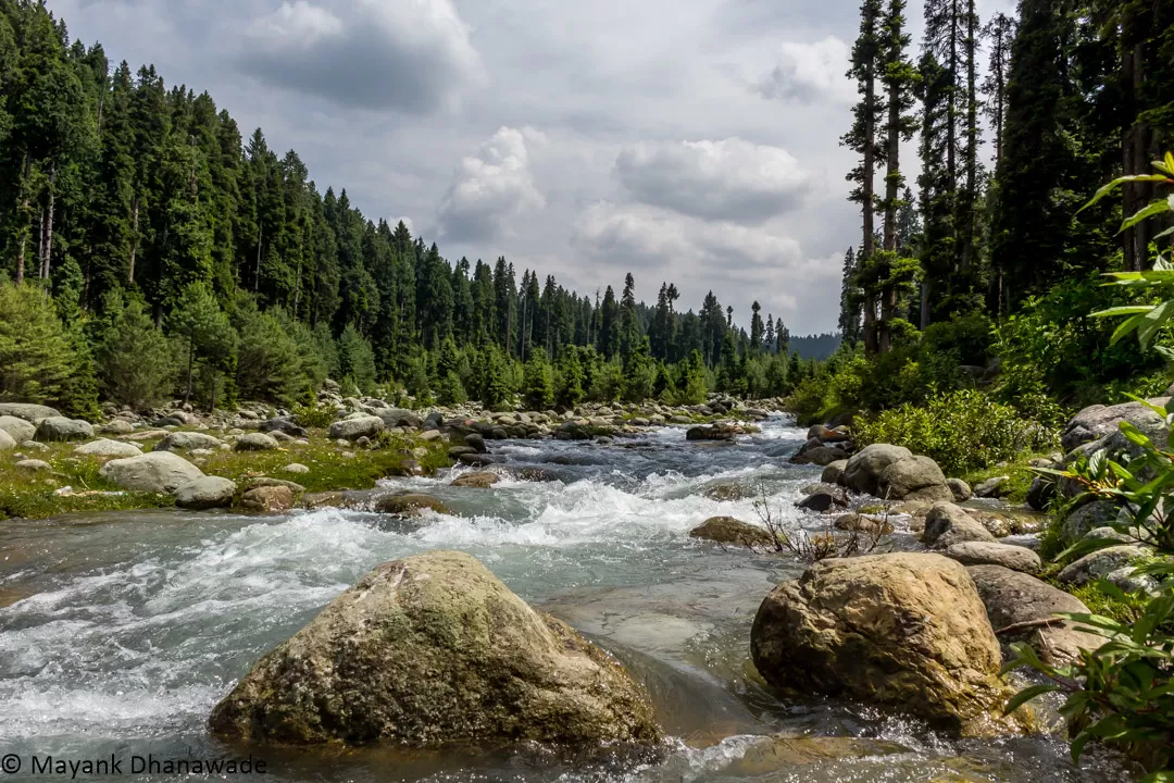 Photo of Doodhpathri By Mayank Dhanawade