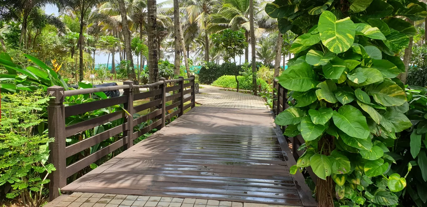 Photo of Planet Hollywood Beach Resort By Pankti Shah