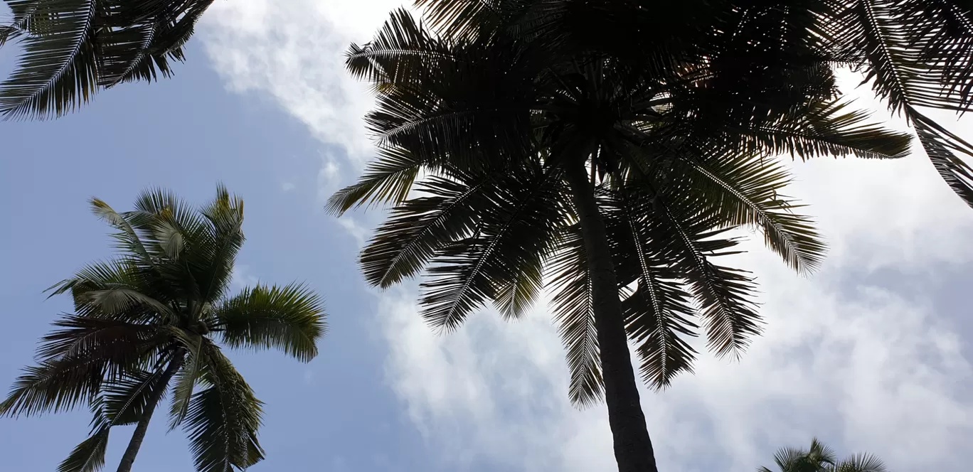 Photo of Planet Hollywood Beach Resort By Pankti Shah