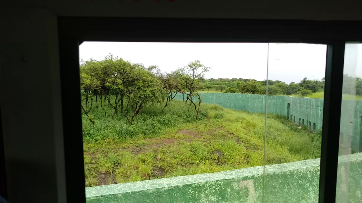 Photo of Gir By Pankti Shah