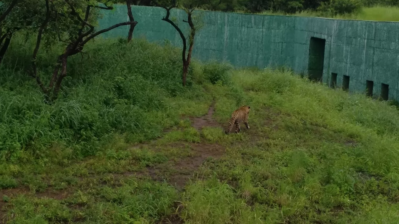 Photo of Gir By Pankti Shah