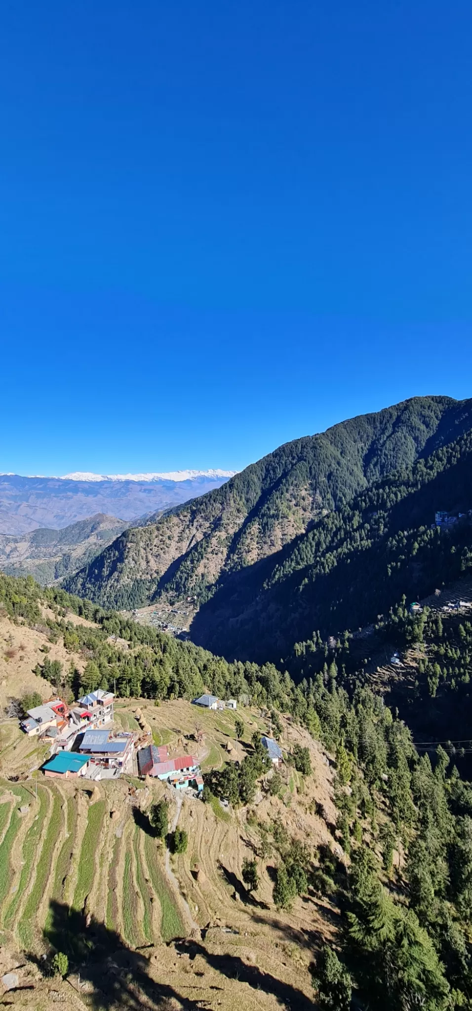 Photo of Fortune Park Dalhousie By Pankti Shah