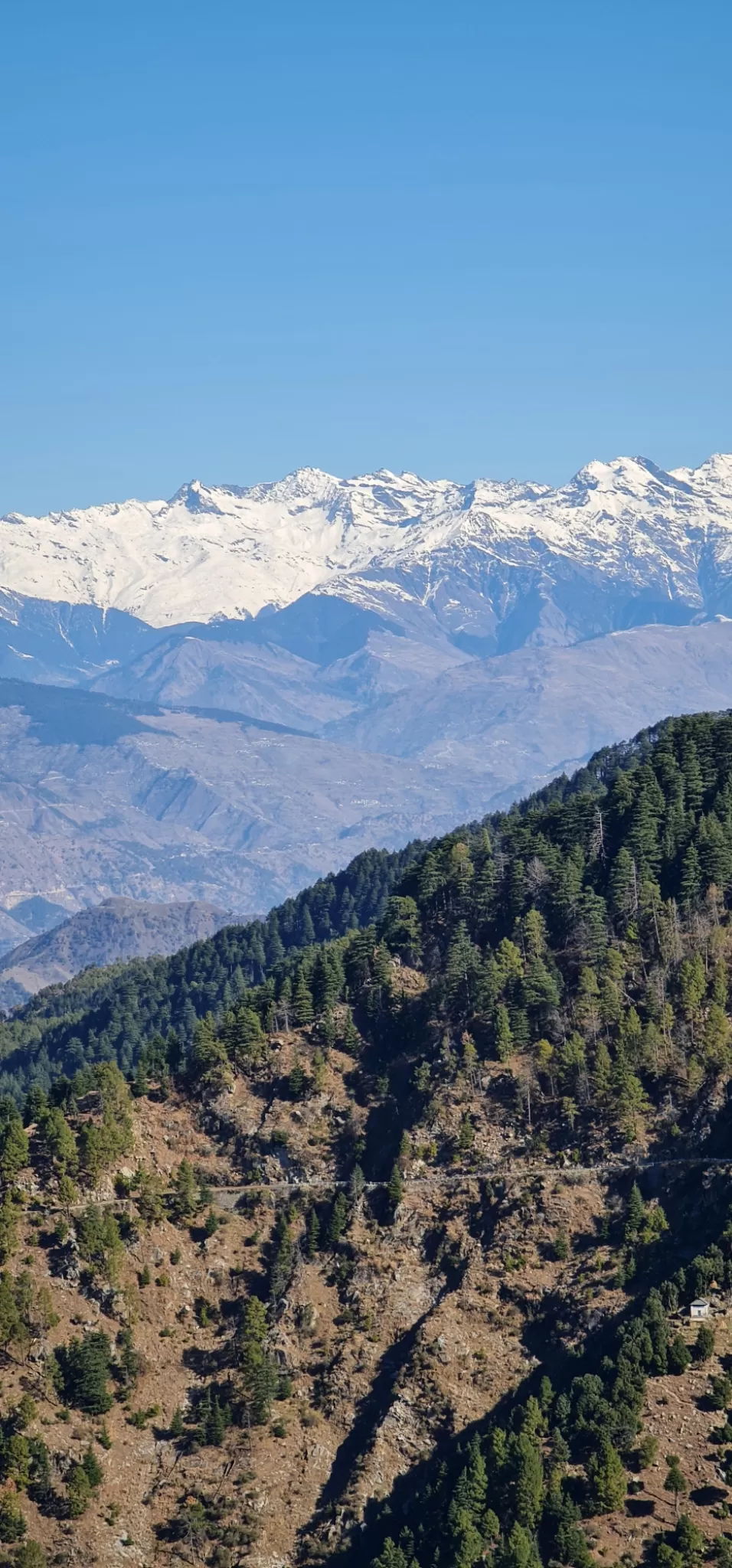 Photo of Fortune Park Dalhousie By Pankti Shah