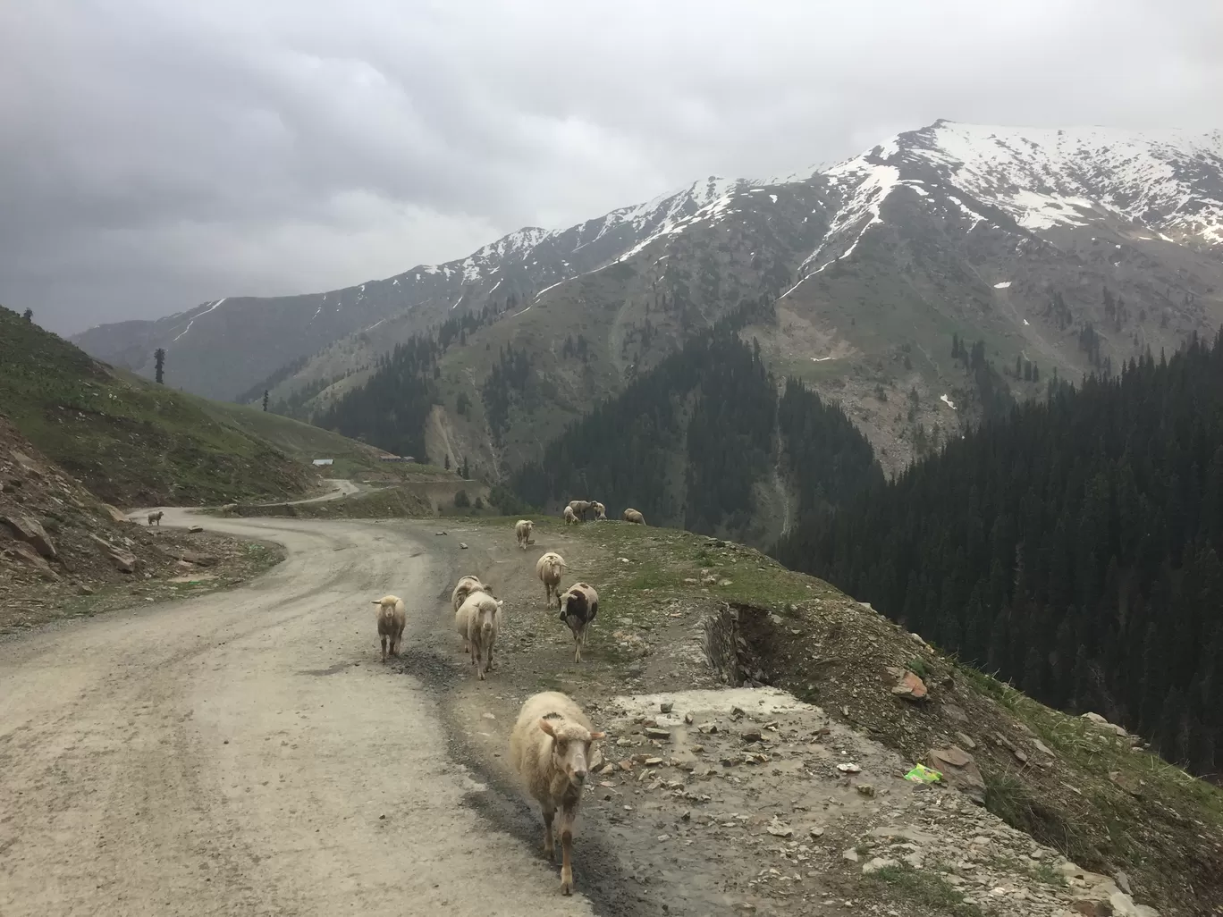 Photo of Gurez Valley By Mayuri Singh