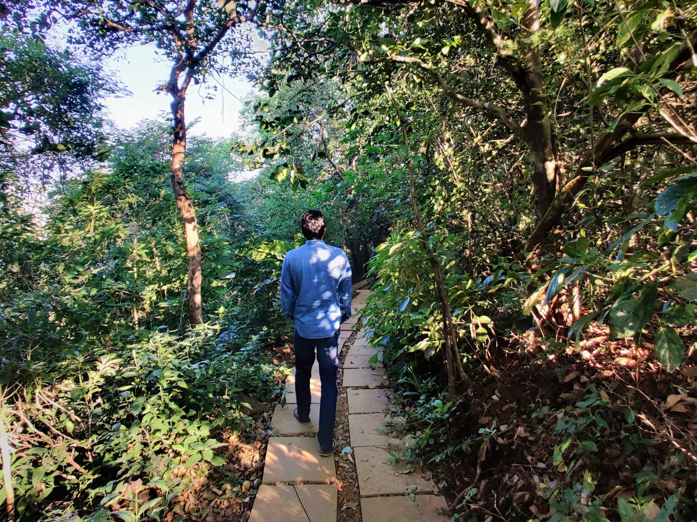 Photo of The Machan By Mayuri Singh