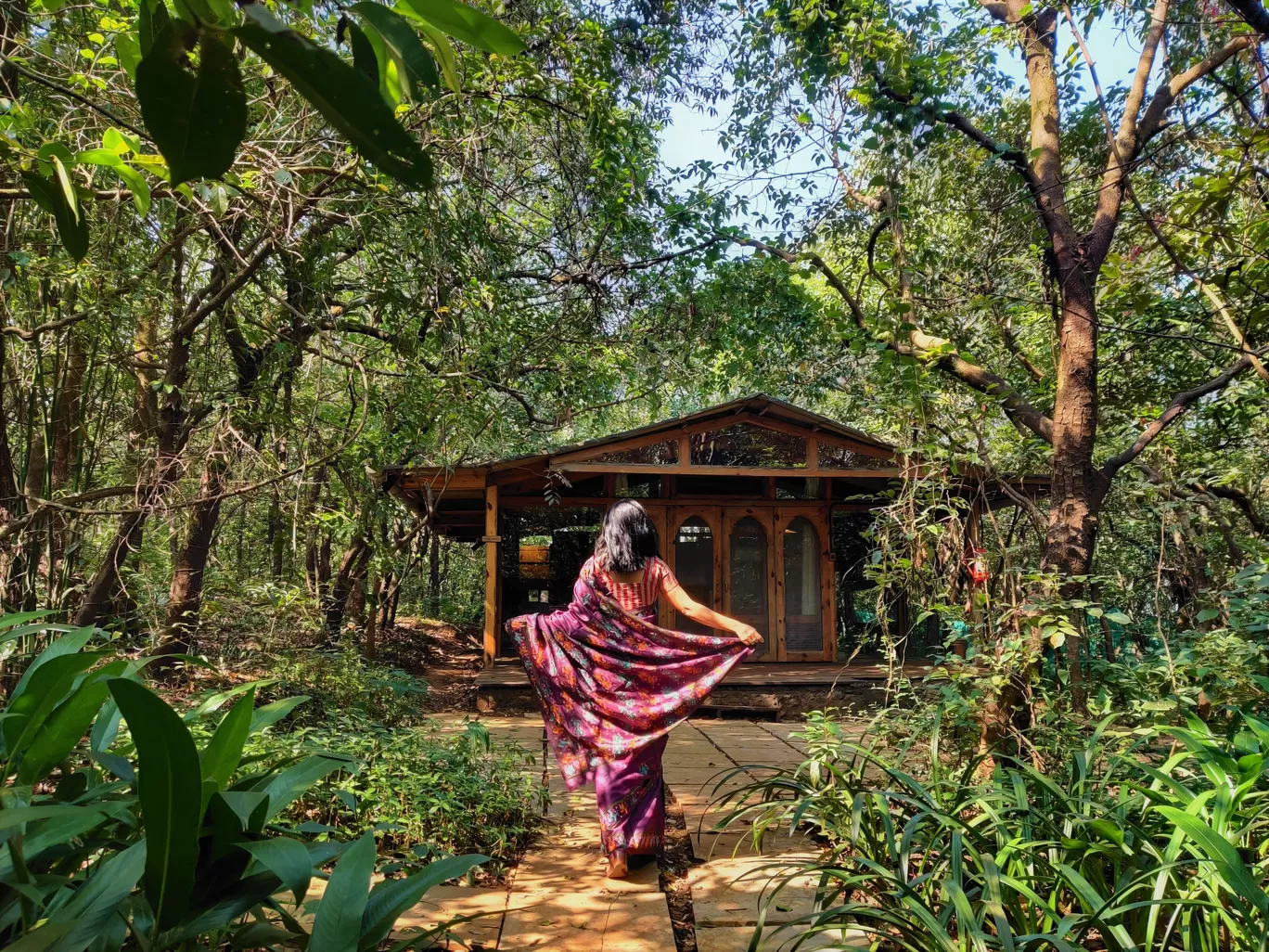 Photo of The Machan By Mayuri Singh