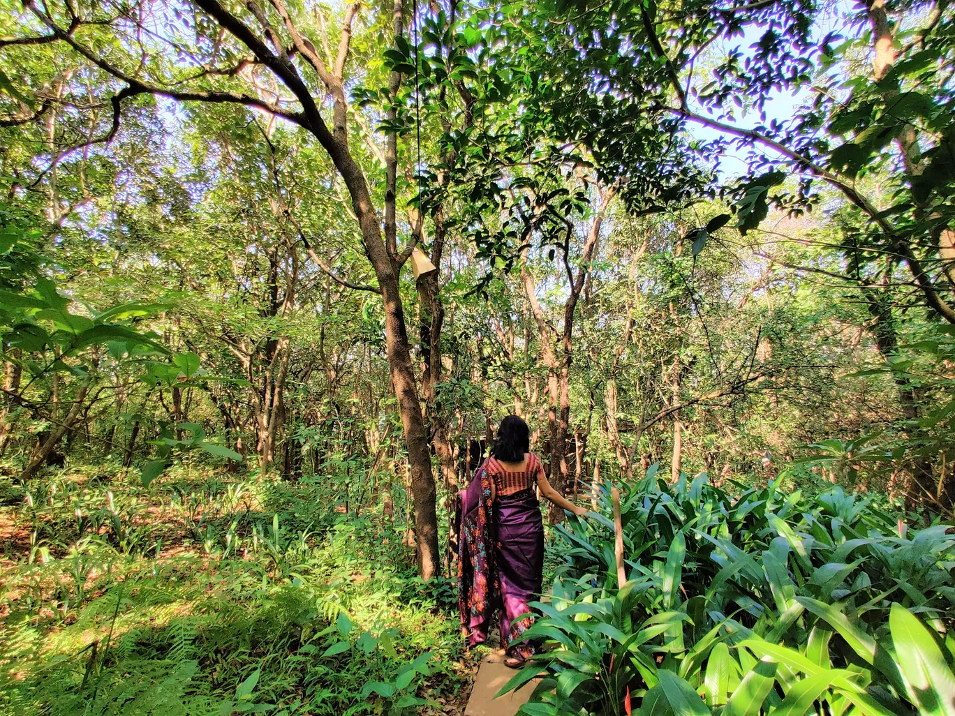 Photo of The Machan By Mayuri Singh