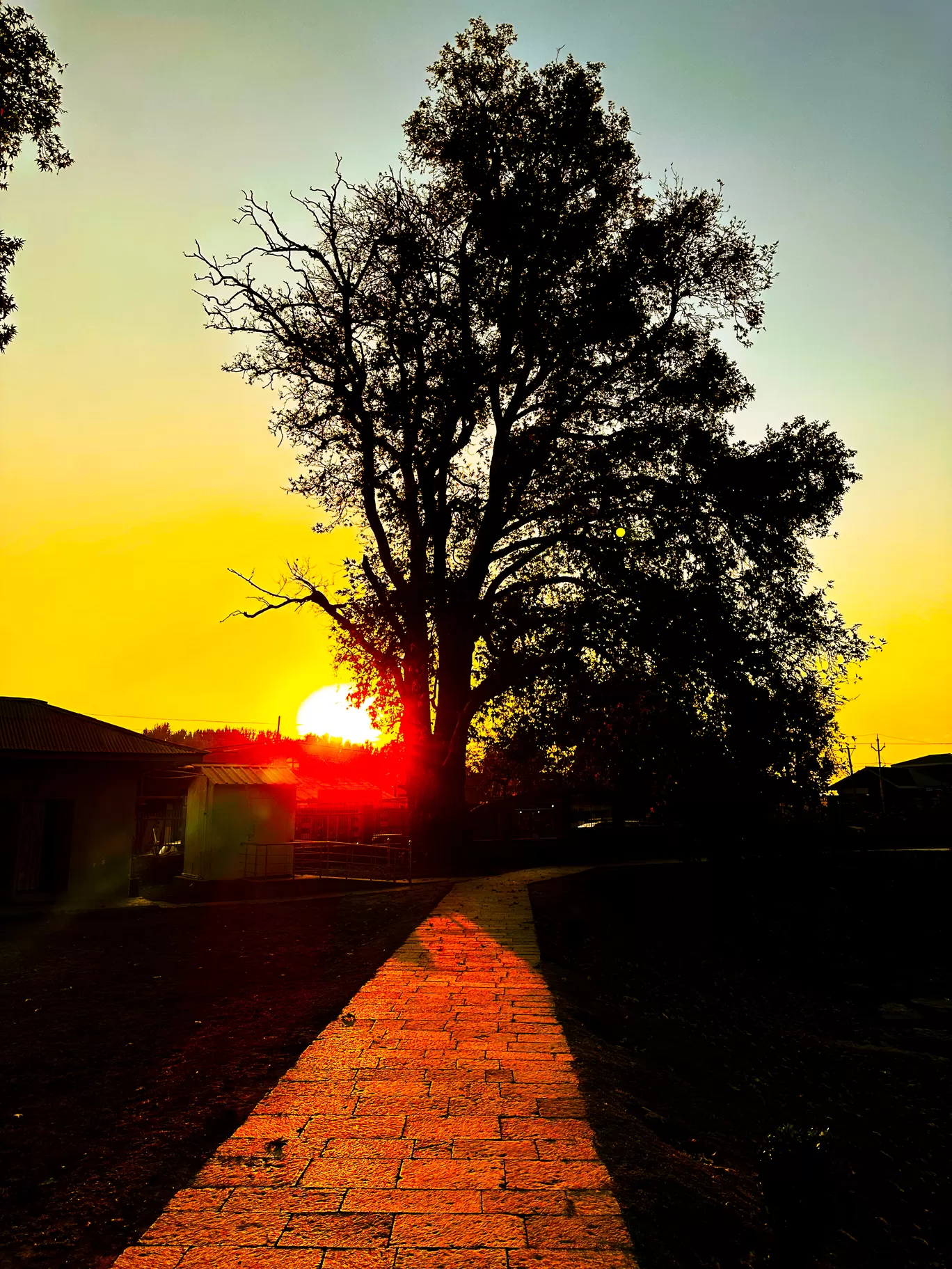 Photo of Awantipora By Raouf Dar