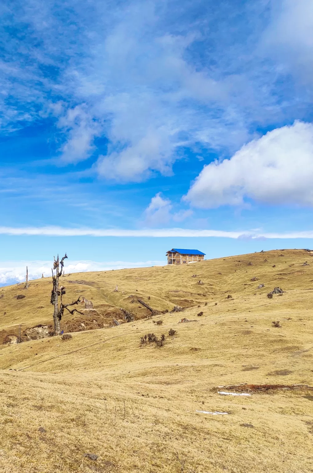 Photo of Sandakphu By Sourav Das