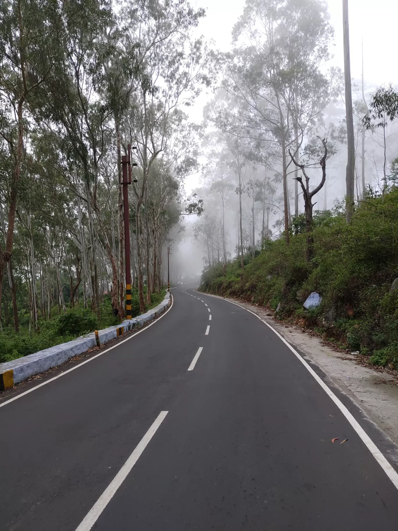 Photo of Yercaud trip By Haresh Jethwani